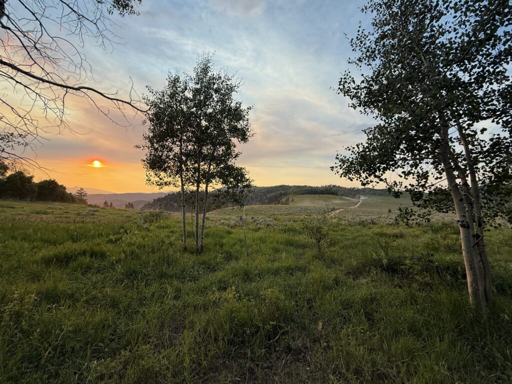 Mountain Photo taken at sunset, taken in the Uinta-Wasatch-Cache national forest.