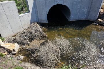 Culvert in Upper Lindley Watershed