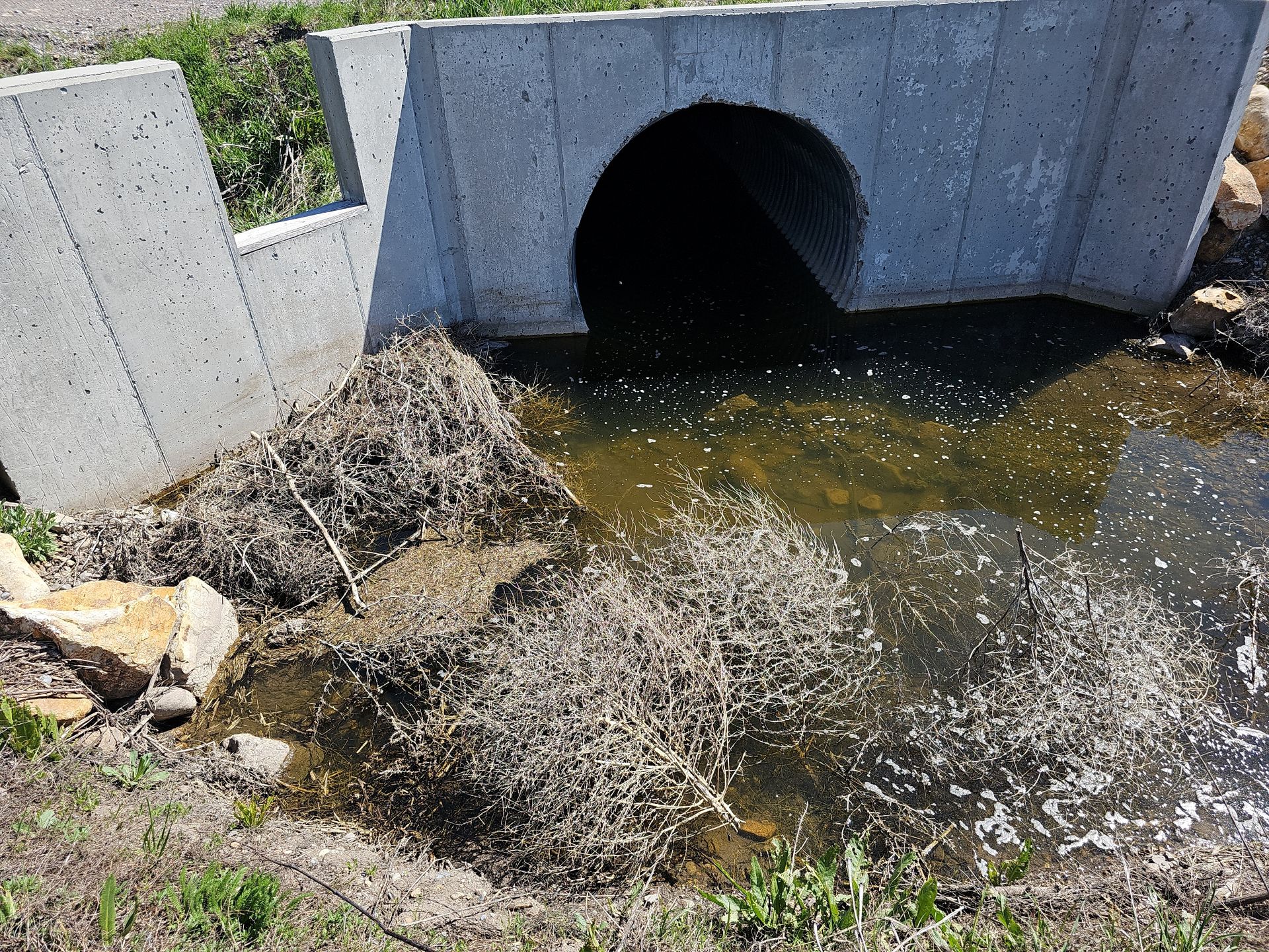 Culvert in Upper Lindley Watershed