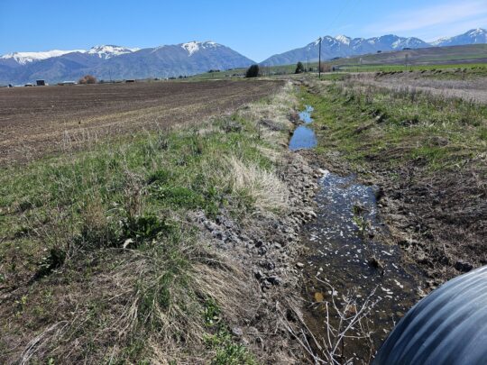 Water in Upper Lindley Watershed