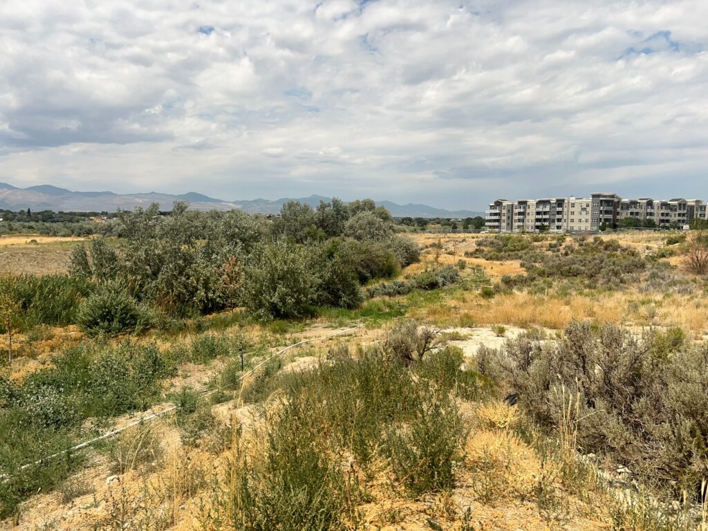 Corner Canyon Creek