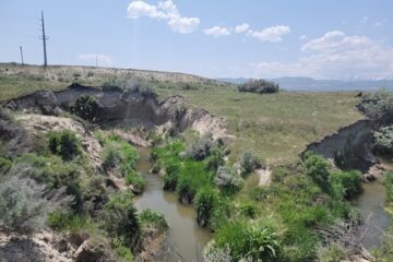 Photo of Steep embankments in Corner Canyon Creek